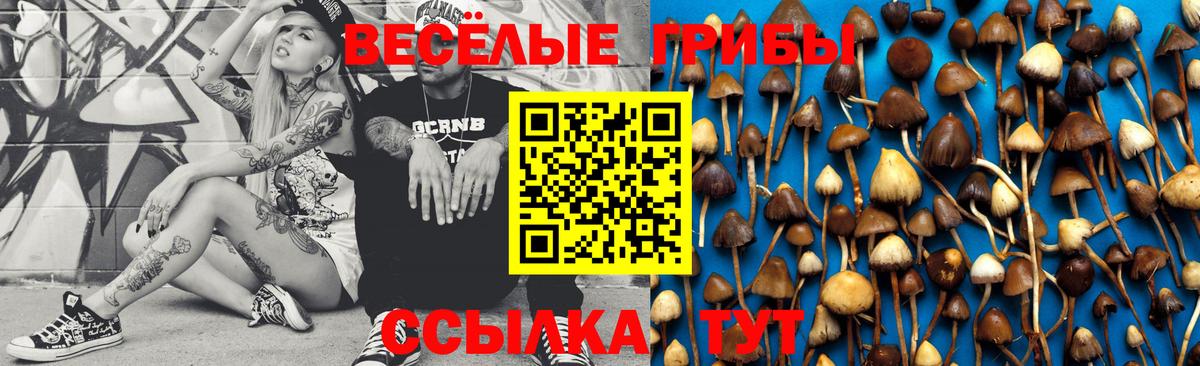 Псилоцибиновые грибы мицелий  Вход с VPN  Буйнакск  Псилоцибиновые грибы Cubensis 