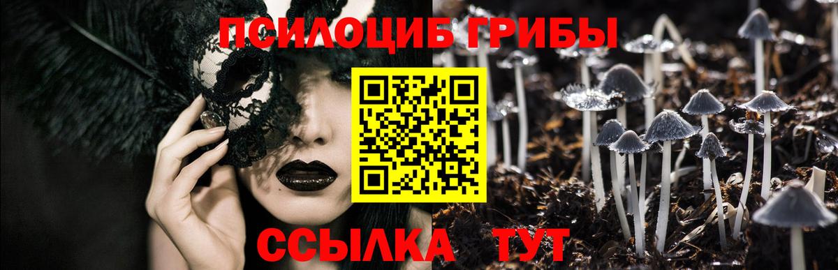 Псилоцибиновые грибы ЛСД Буйнакск
